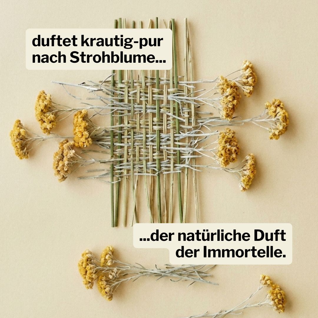 complete care 003 | Pflegeöl für Gesicht, Körper, Haar | sanft mit Jojoba + Immortelle ∴ therefore beauty