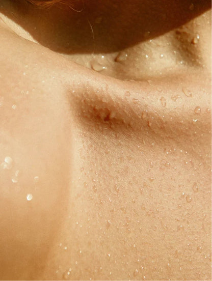 Gloss Conditioner, Smoky Green Vetiver Lamidibeauty