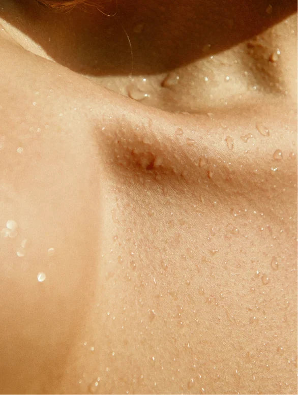 Gloss Shampoo, Smoky Green Vetiver Lamidibeauty