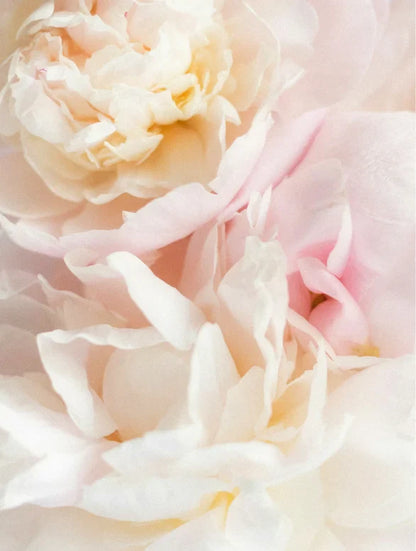 Gentle Baby Shampoo Lamidibeauty