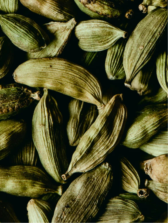 Hand & Body Wash, Ginger & Smoky Cardamom Lamidibeauty