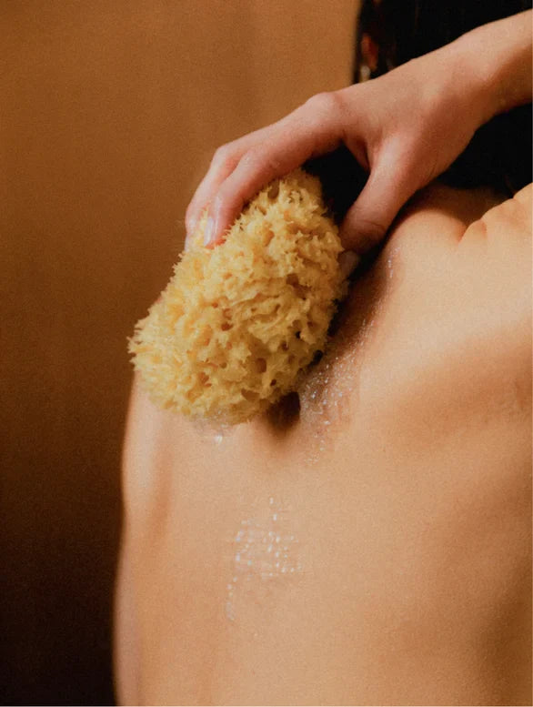 Hand & Body Wash, Grapefruit Lamidibeauty