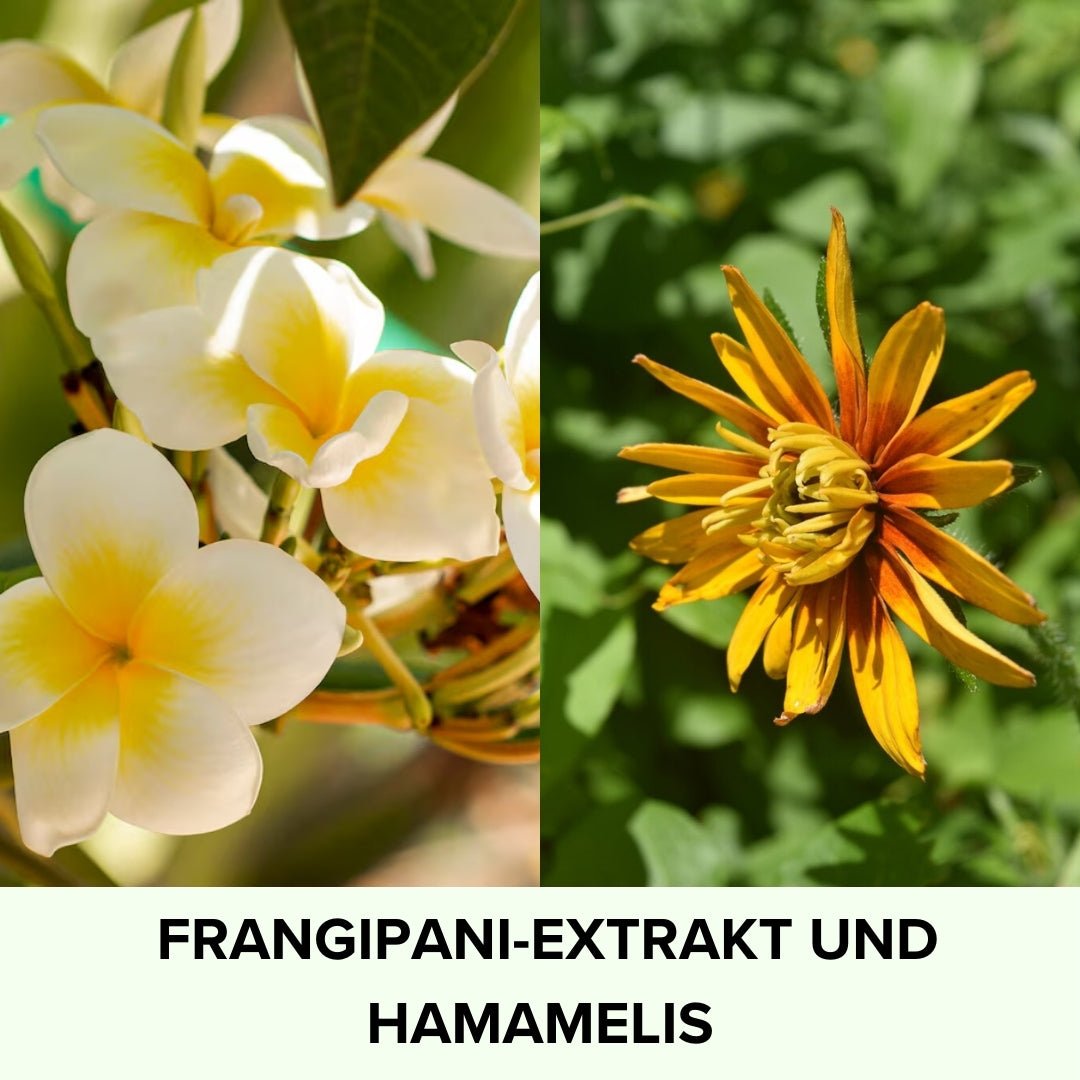 Gesichtswasser •Energie• mit Frangipani Pure Elements Naturkosmetik